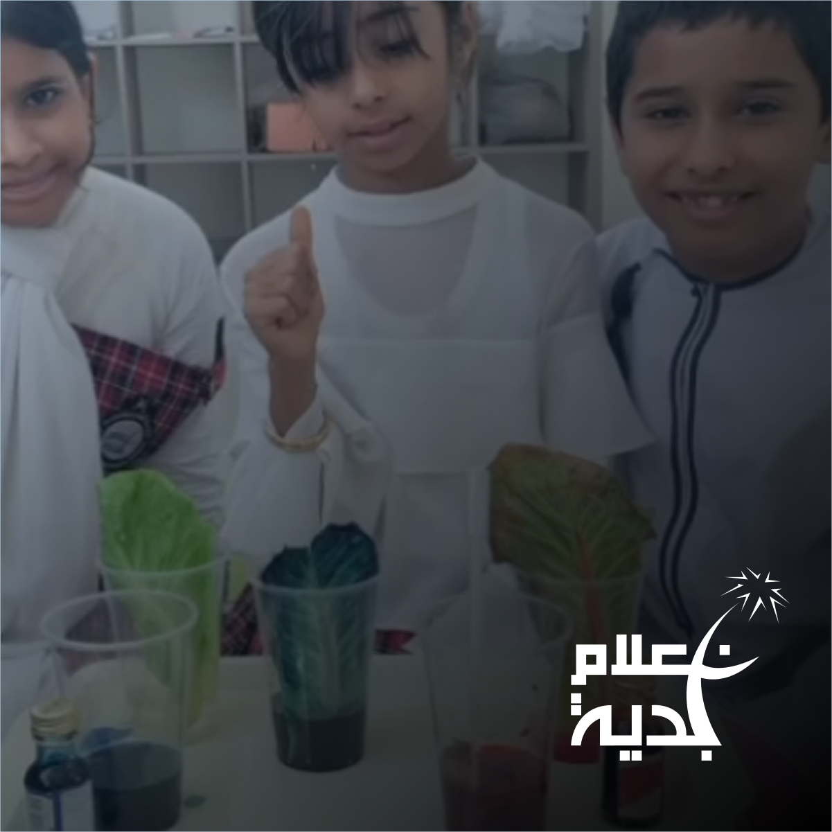 مدرسة أعلام بدية الخاصة